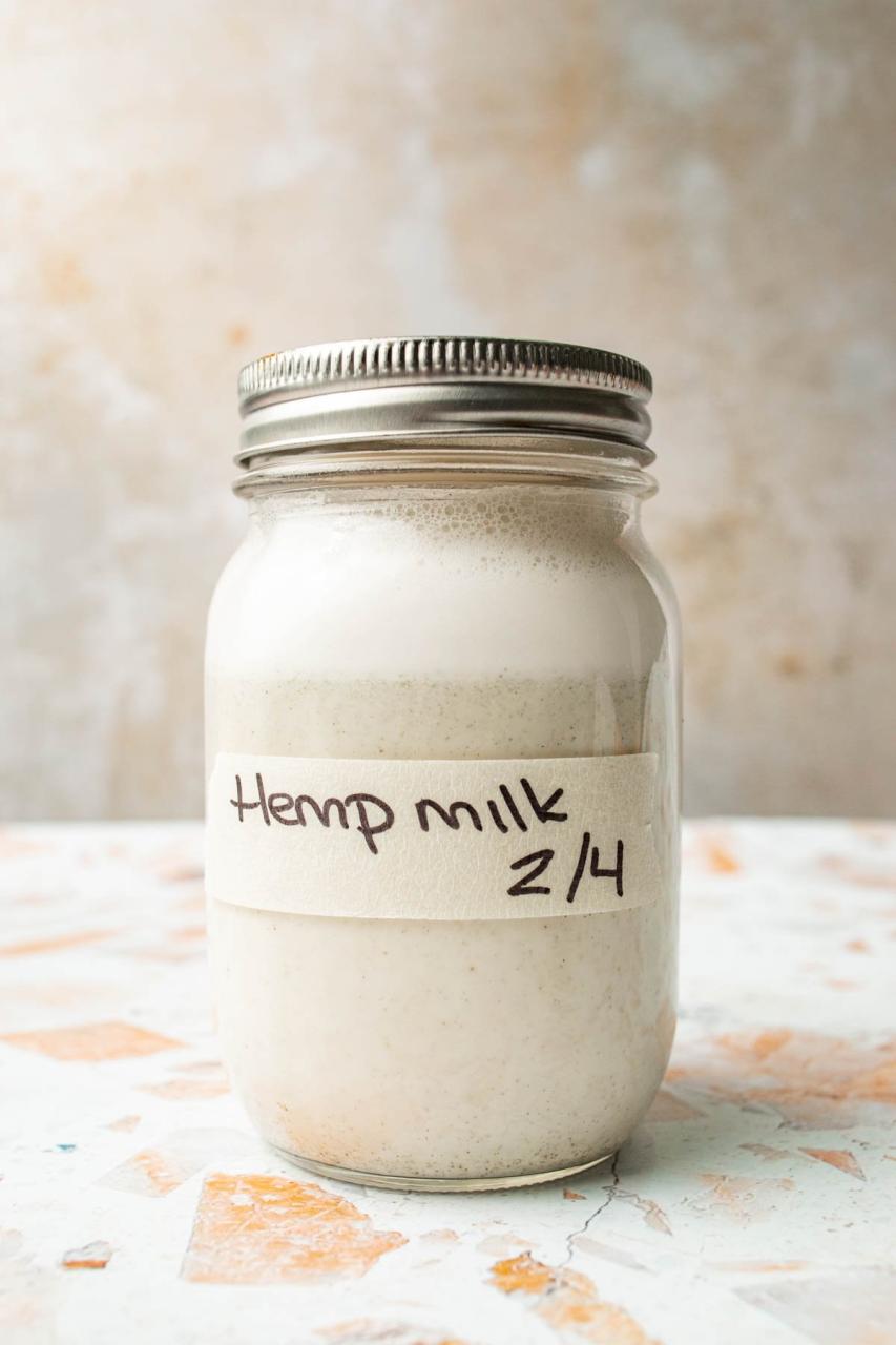 Nourishing Hemp Seed Milk Recipe - Desiree Nielsen