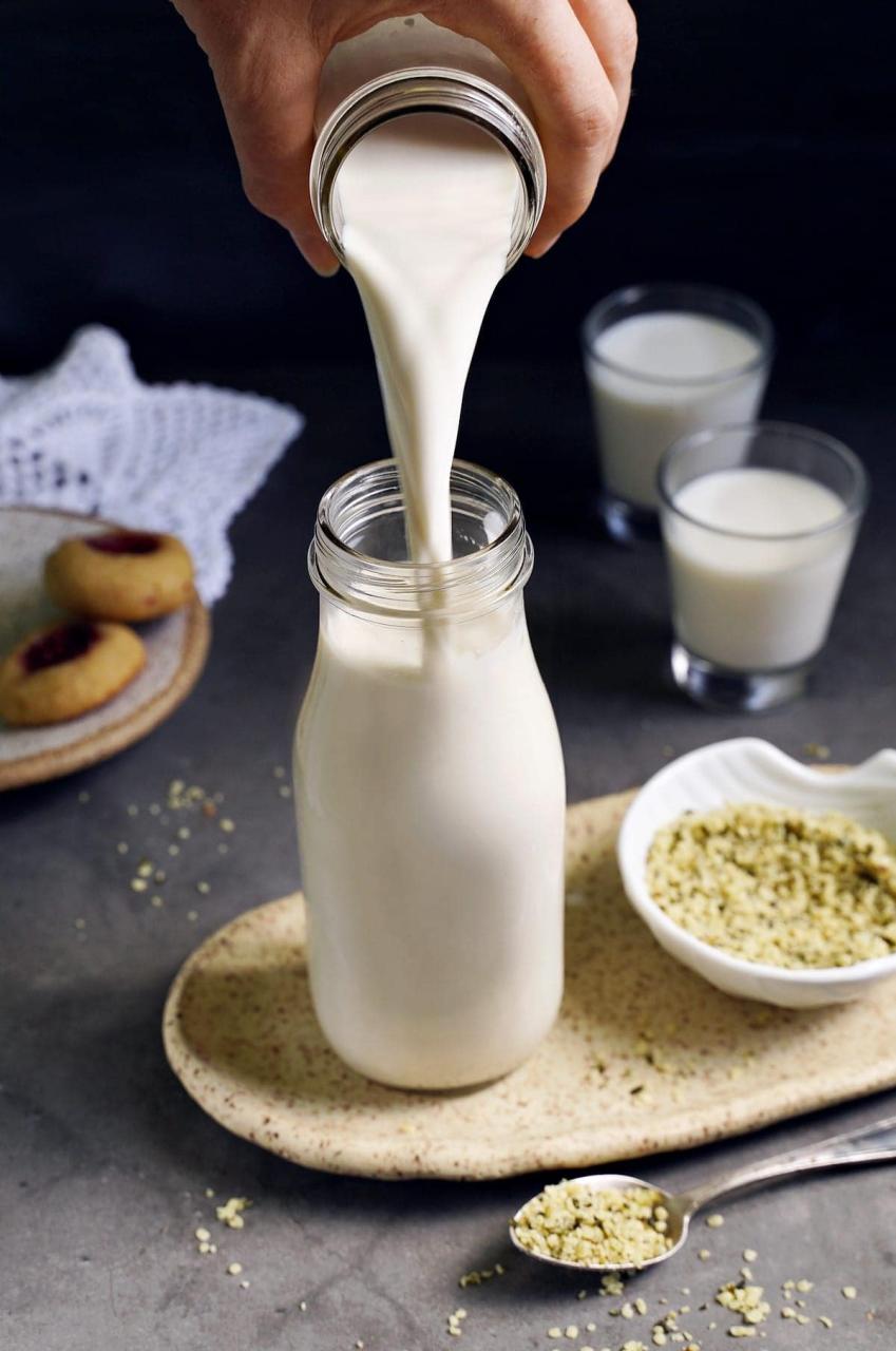 How To Make Hemp Milk (Easy Recipe) - Elavegan